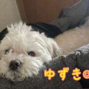 ヒメ日記 2025/04/26 12:19 投稿 ゆずき Second Love（セカンドラブ）