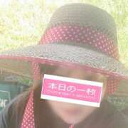 ヒメ日記 2025/07/27 16:26 投稿 ゆずき Second Love（セカンドラブ）