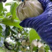 ヒメ日記 2025/09/25 22:03 投稿 ゆずき Second Love（セカンドラブ）