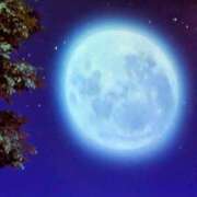 ヒメ日記 2025/10/16 01:26 投稿 ゆずき Second Love（セカンドラブ）