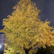 ヒメ日記 2025/11/13 00:53 投稿 ゆずき Second Love（セカンドラブ）