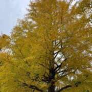 ヒメ日記 2025/11/13 15:09 投稿 ゆずき Second Love（セカンドラブ）