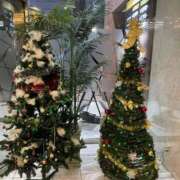 ヒメ日記 2025/12/18 18:58 投稿 ゆずき Second Love（セカンドラブ）