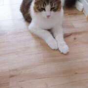 ヒメ日記 2025/06/21 20:23 投稿 てぃな★人妻KISS★ 人妻kiss