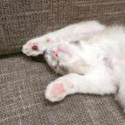 ヒメ日記 2025/10/09 11:00 投稿 てぃな★人妻KISS★ 人妻kiss