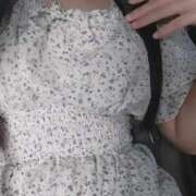 ヒメ日記 2025/10/28 11:08 投稿 あすな かぐや本舗