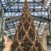 ヒメ日記 2025/11/10 17:52 投稿 赤坂(あかさか) Ageha（あげは）