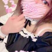 ヒメ日記 2025/03/18 15:10 投稿 くみ 群馬渋川水沢ちゃんこ