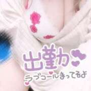 ヒメ日記 2025/04/02 12:18 投稿 くみ 群馬渋川水沢ちゃんこ