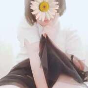 ヒメ日記 2025/10/03 11:17 投稿 みれい 群馬伊勢崎ちゃんこ