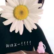 ヒメ日記 2026/03/26 10:33 投稿 みれい 群馬伊勢崎ちゃんこ