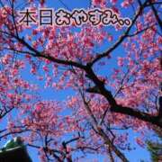 ヒメ日記 2026/02/25 11:29 投稿 あいこ もしも優しいお姉さんが本気になったら...横浜店