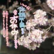 ヒメ日記 2026/03/25 08:19 投稿 あいこ もしも優しいお姉さんが本気になったら...横浜店
