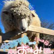 ヒメ日記 2026/04/26 08:21 投稿 あいこ もしも優しいお姉さんが本気になったら...横浜店