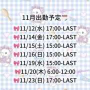 ヒメ日記 2025/11/11 21:29 投稿 まき CECIL