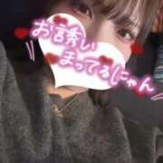 ヒメ日記 2025/11/20 07:20 投稿 ゆあ My Essentials