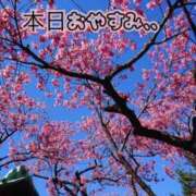 ヒメ日記 2026/02/25 11:33 投稿 あいこ もしも素敵な妻が指輪をはずしたら・・・カーラ