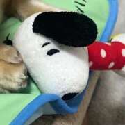 ヒメ日記 2026/07/11 22:56 投稿 もも ENTERTAINMENT SOAP LOVE VEGAS(ラブベガス)