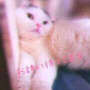 ヒメ日記 2025/10/30 11:45 投稿 さな 脱がされたい人妻 木更津店