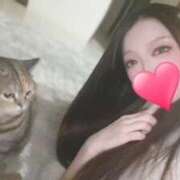 ヒメ日記 2025/01/27 23:49 投稿 レンナ ギャルズネットワーク神戸