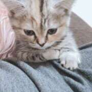 ヒメ日記 2025/02/06 19:29 投稿 レンナ ギャルズネットワーク神戸