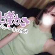 ヒメ日記 2025/07/31 16:56 投稿 レンナ ギャルズネットワーク神戸