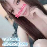 ヒメ日記 2026/03/07 12:36 投稿 レンナ ギャルズネットワーク神戸