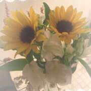 ヒメ日記 2025/07/17 14:01 投稿 ちづる ニューヨークニューヨーク