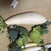 ヒメ日記 2024/12/31 18:54 投稿 みるく One More奥様　町田相模原店