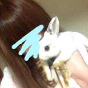 ヒメ日記 2025/10/08 14:05 投稿 ひなた 西川口ぷよステーション