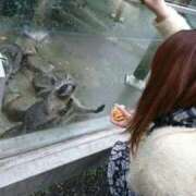 ヒメ日記 2026/03/20 15:22 投稿 ひなた 西川口ぷよステーション