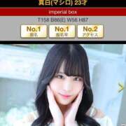 ヒメ日記 2025/04/01 18:21 投稿 真白(マシロ) グランドオペラ名古屋