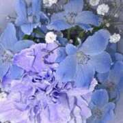 ヒメ日記 2025/05/12 00:17 投稿 真白(マシロ) グランドオペラ名古屋