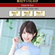 ヒメ日記 2025/06/01 18:19 投稿 真白(マシロ) グランドオペラ名古屋