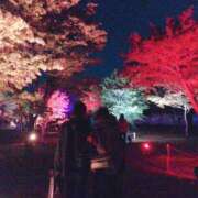 ヒメ日記 2025/10/18 11:16 投稿 真白(マシロ) グランドオペラ名古屋