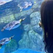 ヒメ日記 2025/09/21 07:04 投稿 白雪　りな やみつきエステ2nd 横浜店