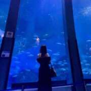 ヒメ日記 2025/09/26 12:04 投稿 白雪　りな やみつきエステ2nd 横浜店