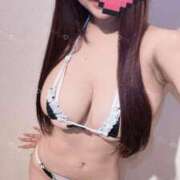 ヒメ日記 2024/12/20 13:46 投稿 ねね ZERO-i