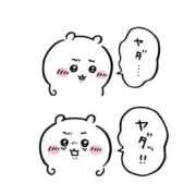 ヒメ日記 2026/02/01 17:36 投稿 ねね ZERO-i