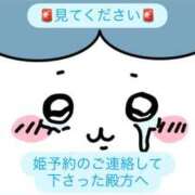 ヒメ日記 2026/06/07 23:46 投稿 ねね ZERO-i