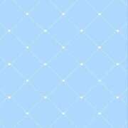 ヒメ日記 2026/06/15 10:56 投稿 ねね ZERO-i