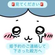 ヒメ日記 2026/07/14 13:07 投稿 ねね ZERO-i