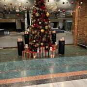 ヒメ日記 2025/12/24 06:48 投稿 朱里(あかり) 札幌人妻マドンナ