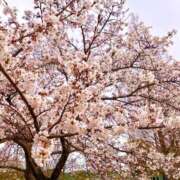 ヒメ日記 2025/04/06 12:20 投稿 ♡みなと先生♡ 梅田ムチぽよ女学院