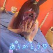 ヒメ日記 2024/12/15 12:36 投稿 アイス☆AF可能バニー☆ ドMなバニーちゃん 名古屋・池下店