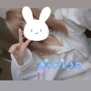 ヒメ日記 2024/12/18 17:36 投稿 アイス☆AF可能バニー☆ ドMなバニーちゃん 名古屋・池下店