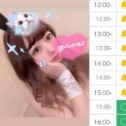 ヒメ日記 2024/12/19 12:34 投稿 アイス☆AF可能バニー☆ ドMなバニーちゃん 名古屋・池下店