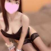 ヒメ日記 2024/12/18 08:06 投稿 アメリ いたずらバニーちゃん