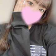 ヒメ日記 2025/02/28 12:00 投稿 アメリ いたずらバニーちゃん