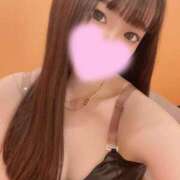 ヒメ日記 2025/03/07 08:10 投稿 アメリ いたずらバニーちゃん